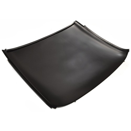 Goldenstar rf20 66 fits - 65-66,